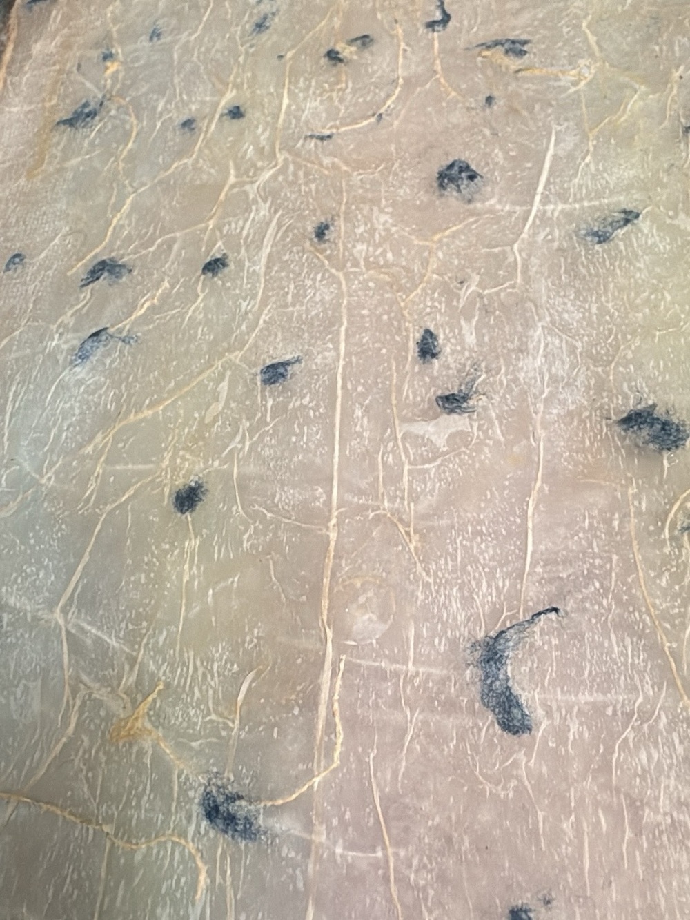 Homemade Rice Paper Sheets - Picture 7 of 11
